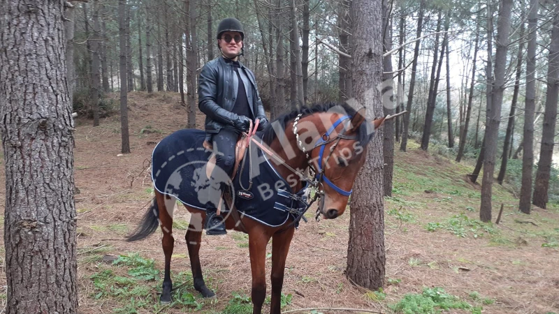 Alanya Horse Riding Tour - Horse Riding Training - 13