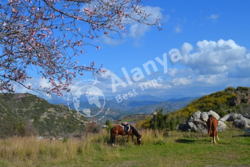 Alanya Horse Riding Tour - Horse Riding Training - 1