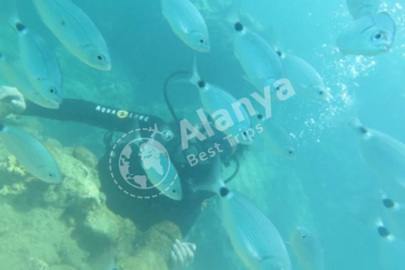 Подводное плавание с аквалангом в Каргыджак🤿 - 2