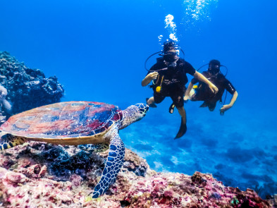 Taucherlebnis in Antalya: Eine Reise in die blauen Tiefen