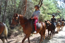 Alanya Horse Riding Tour - Horse Riding Training