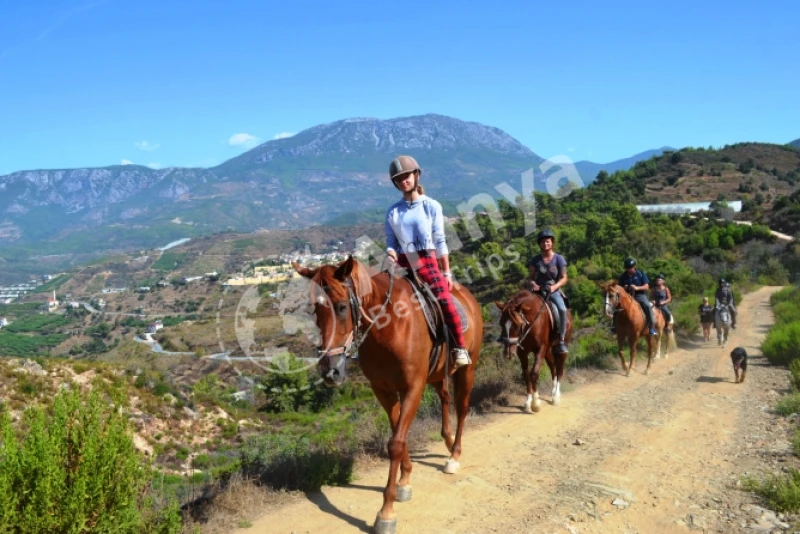 Türkler Alanya Reit-Tour: Entdecken Sie die Bedeutung und Geschichte der Reitkunst in der Türkischen Kultur - 3