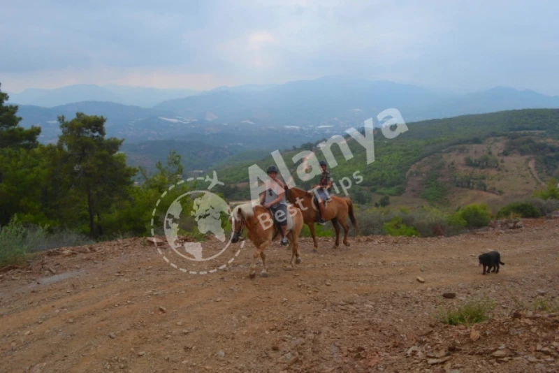 Türkler Alanya Reit-Tour: Entdecken Sie die Bedeutung und Geschichte der Reitkunst in der Türkischen Kultur - 4